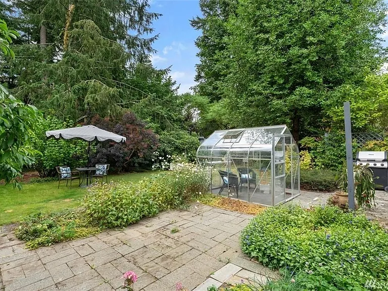 back yard