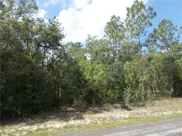 1802 E Ridgefield Dr #20, Hernando, FL 34442