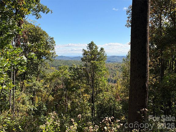 2nd image of Vannoy Ridge Rd
