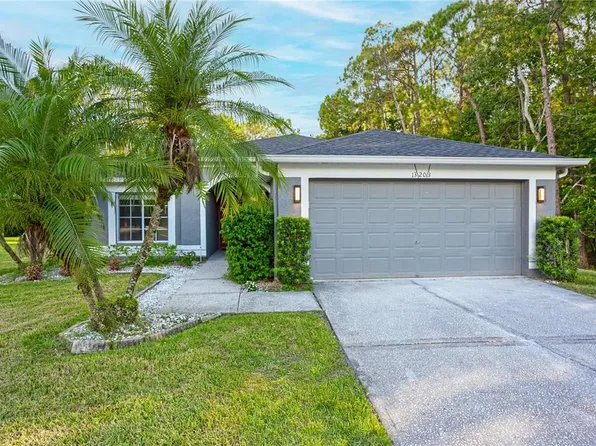 13203 Royal George Ave, Odessa, FL 33556