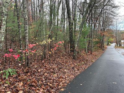 Lt12&13 Butternut Grove Rd, Blairsville, GA, 30512