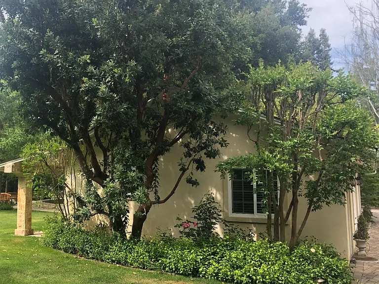 Walter Breton Dr — Photo 17