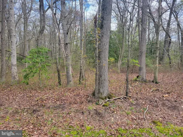 1.9 Acres GRYGO ROAD, MARYDEL, DE 19964