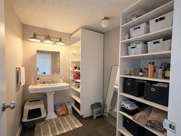 5320 N Sheridan Rd #910 — Photo 8