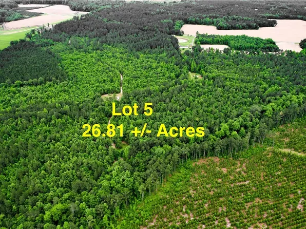 LOT 5 Reese Rd Lot 5, Dinwiddie, VA 23841