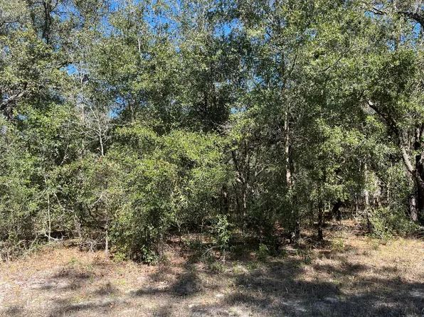 8189 W Carlos Lane, Crystal River, FL 34428