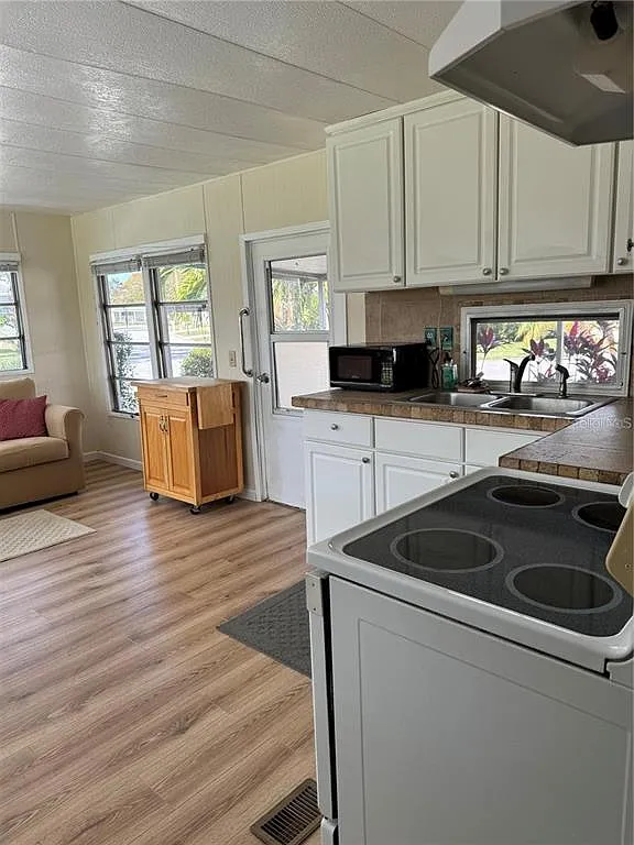 1 bed, 1.0 bath, 420 sqft, $1,250 — Photo 4