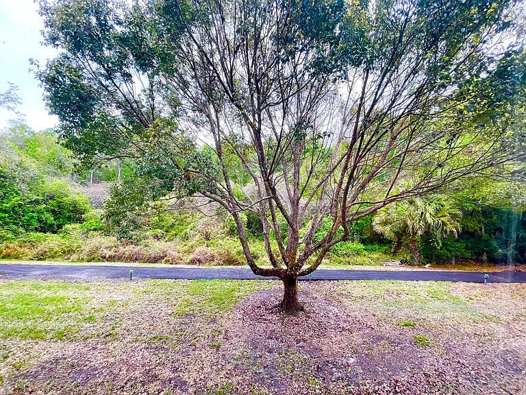 1182 Pine Ridge Cir W — Photo 10