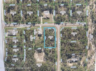 LOT 1 Night Heron Rd, Brooksville, FL 34614