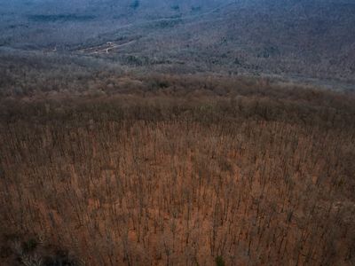 19 Higgenbotham Tpke LOT 20, Altamont, TN, 37301