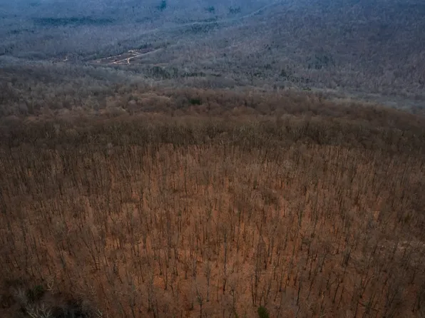 17 Higgenbotham Tpke, Altamont, TN 37301