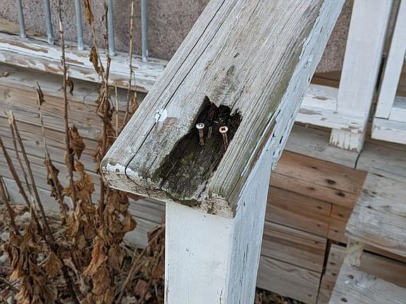 2nd image of 806 S Saville Ave