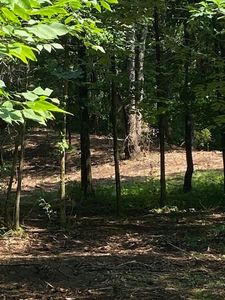 1 Sleaford-parcel 1-8.68 Acres, Howell, MI, 48843
