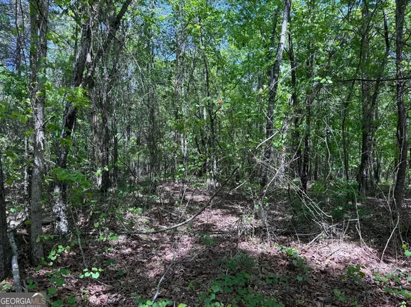 0 Highway 17, Eastanollee, GA 30538