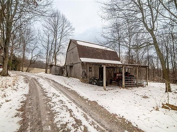 DRIVEWAY PAST BARN LEADING TO HOUSE FROM TANTLINGER RD
