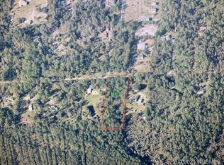 4030 Swamp Deer Rd, New Smyrna Beach, FL 32168