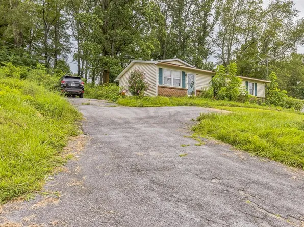 29344 Hillman Hwy, Meadowview, VA 24361