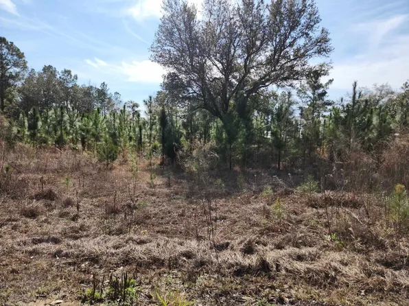 NW Azalea St Lot 27, Bristol, FL 32321