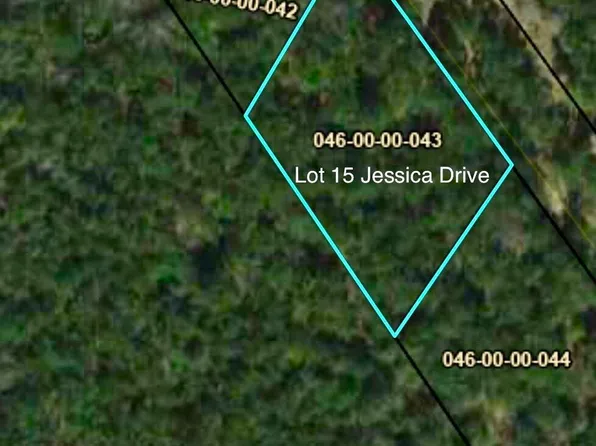 15 Jessica Dr, Williston, SC 29853