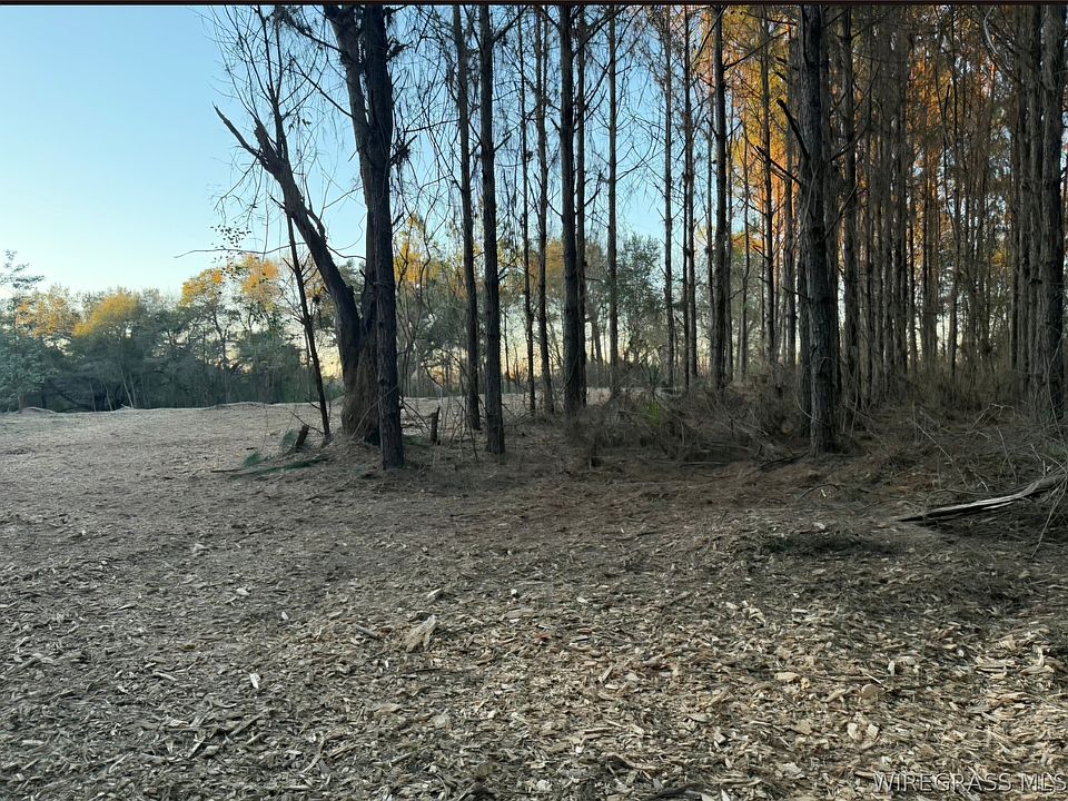 2nd image of TRACT 15 Mount Zion Rd