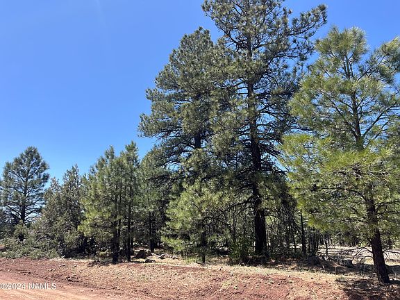 4th image of 138 S Kaibab Ave #34