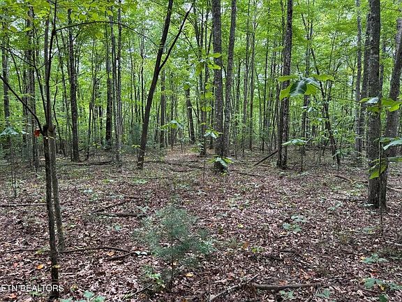 5th image of Wildcat Rd