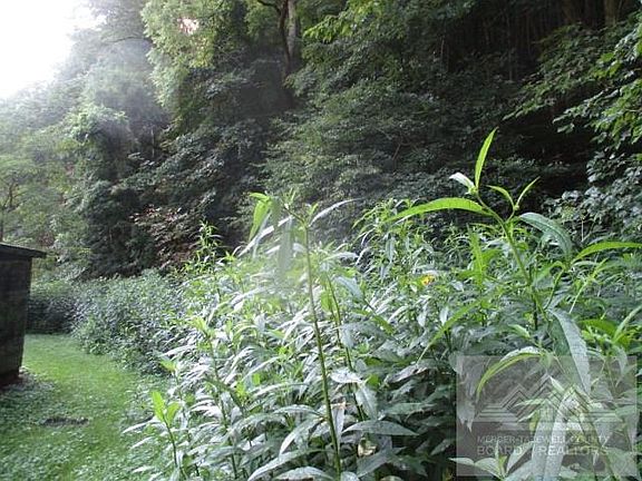 4th image of 448 Jugneck Rd