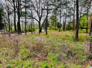 0 Cane Creek Rd #19, Weaver, AL 36277