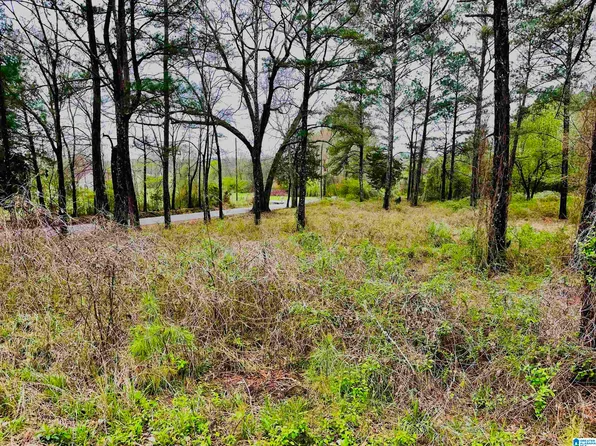 0 Cane Creek Rd #19, Weaver, AL 36277
