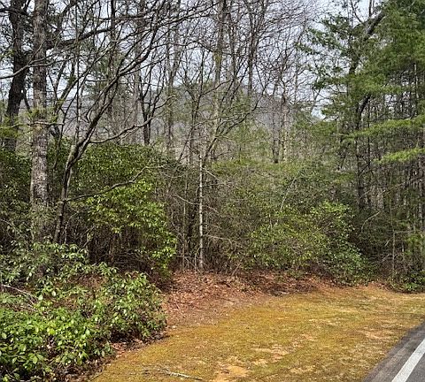 3rd image of 72 Big Pine Road