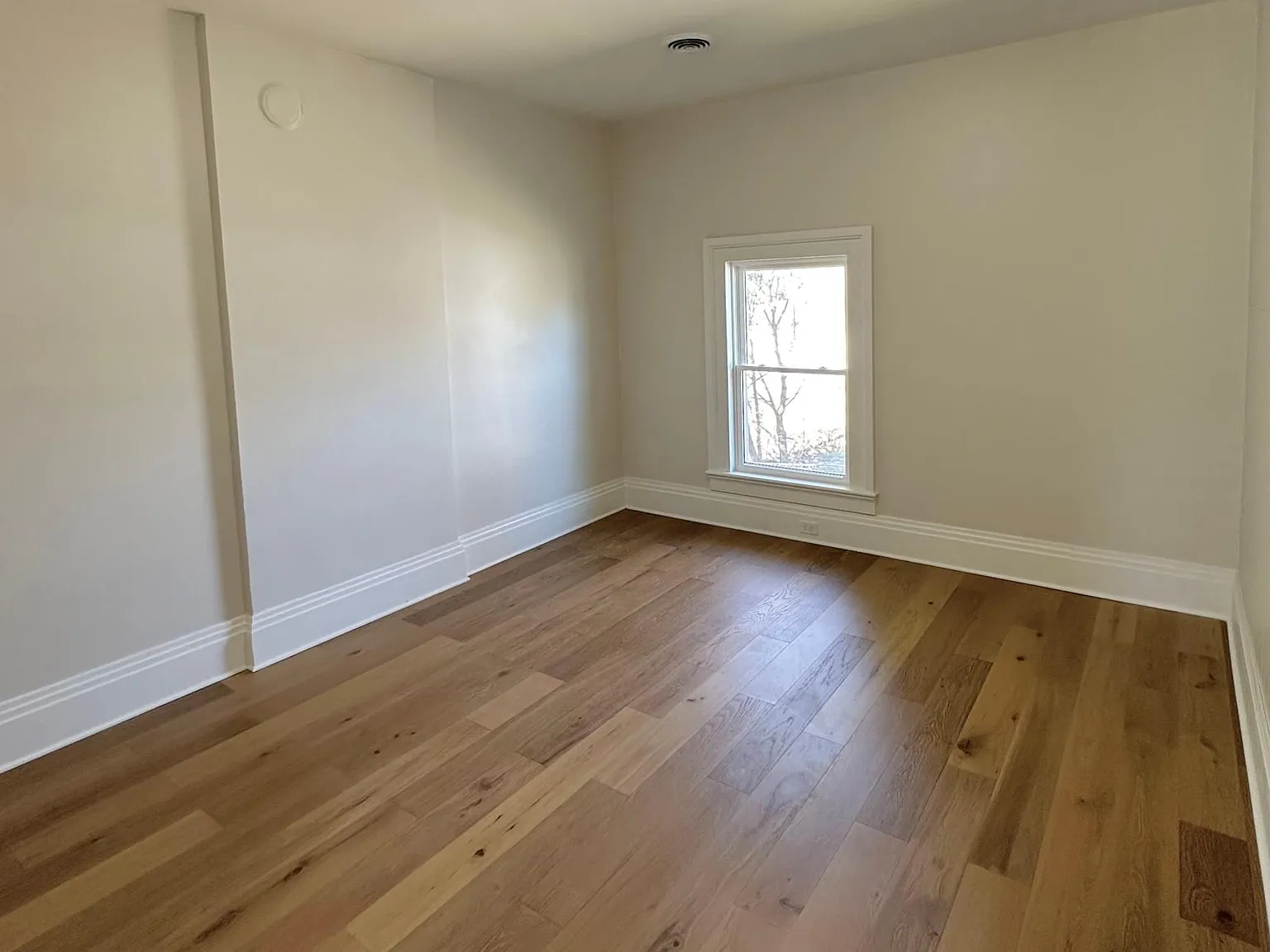 1 bed, 1200 sqft, $1,800 — Photo 2