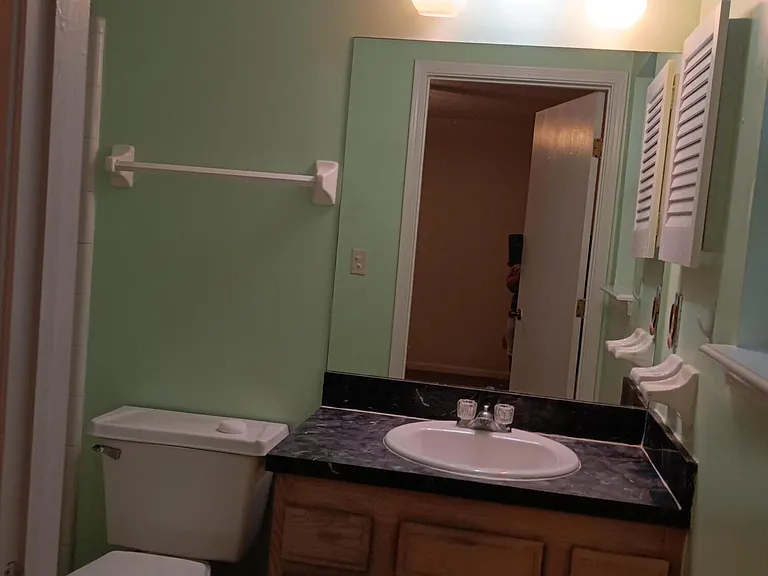 3372 Mandarin Glen Cir S — Photo 13