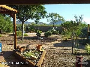 Partial view of lush backyard