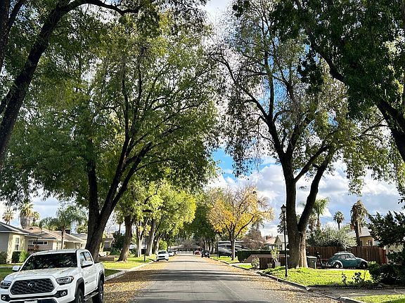 Street view of neighborhood.