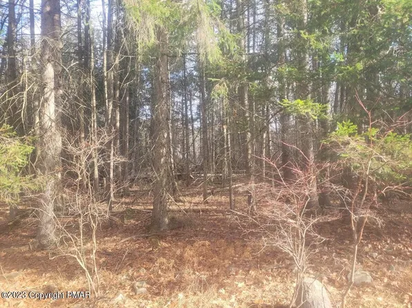 Magic Mountain Rd, Henryville, PA 18332