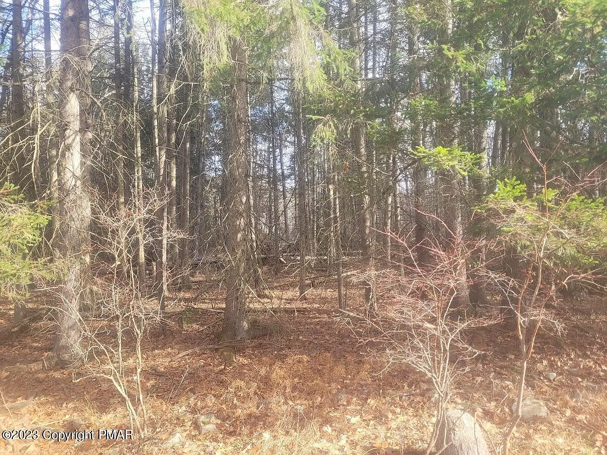 Magic Mountain Rd photo 1