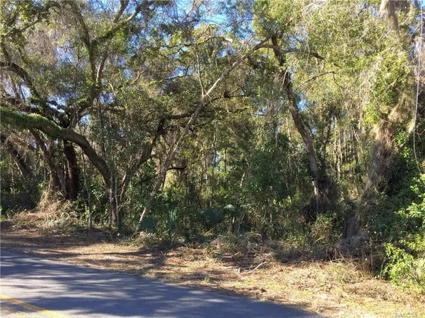 4874 S Robert Blake Ave, Inverness, FL 34452