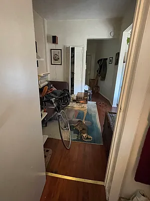 Rented by BINAH REALTY SERVICES LLC | media 5