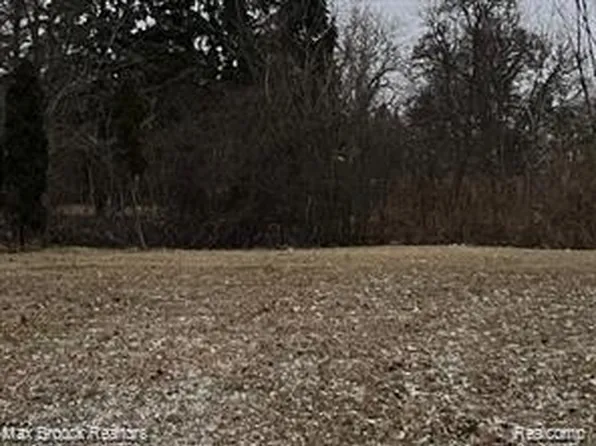 224 Cortland St, Highland Park, MI 48203