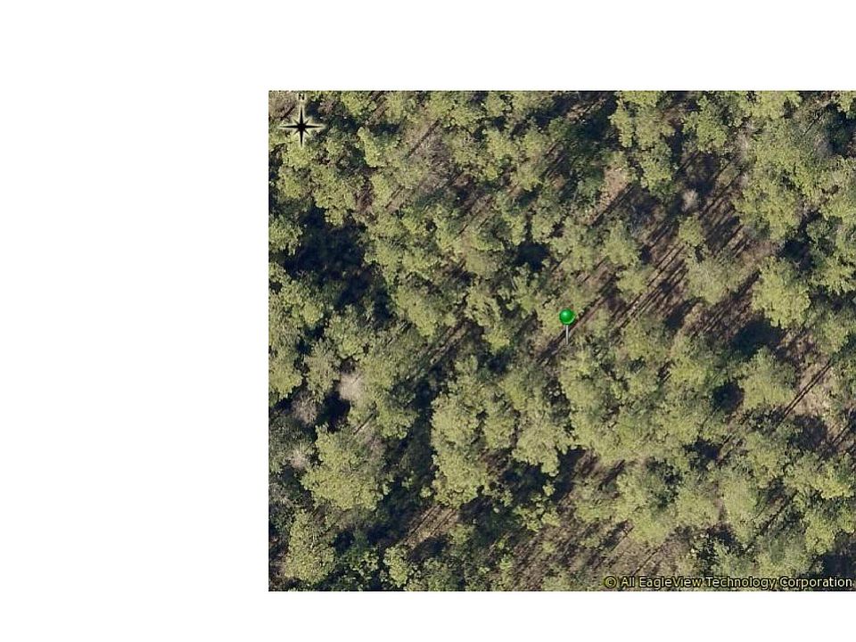 2nd image of 446 Red Pine Ct