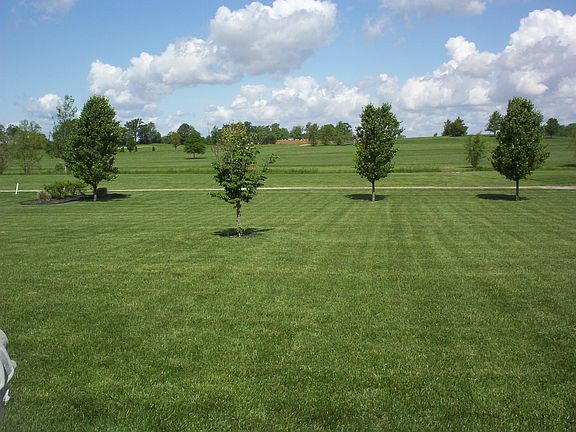 View of back w/ golf course