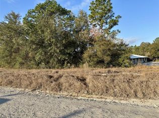 SE 102nd Ter Lot 1, Belleview, FL 34420