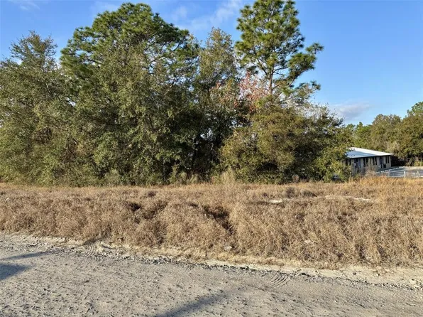 SE 102nd Ter Lot 1, Belleview, FL 34420