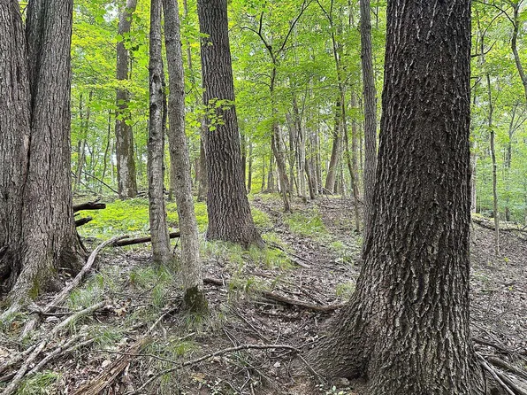 37.5 / Acres S, Gays Mills, WI 54631
