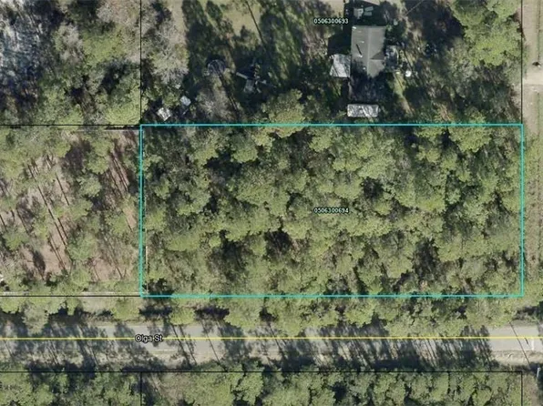 10065 Dillon Ave, Hastings, FL 32145