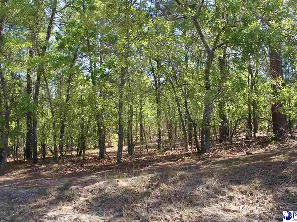 0 Hidden Heights Dr, Hartsville, SC 29550