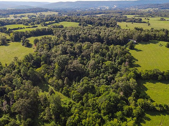 11th image of this home