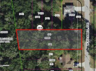 1129 W Bucknell Ave, Inverness, FL 34450