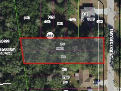 1129 W Bucknell Ave, Inverness, FL, 34450