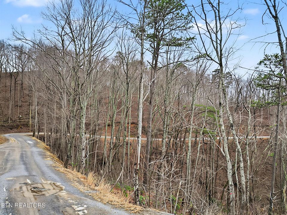 2nd image of Sugar Maple Loop Rd